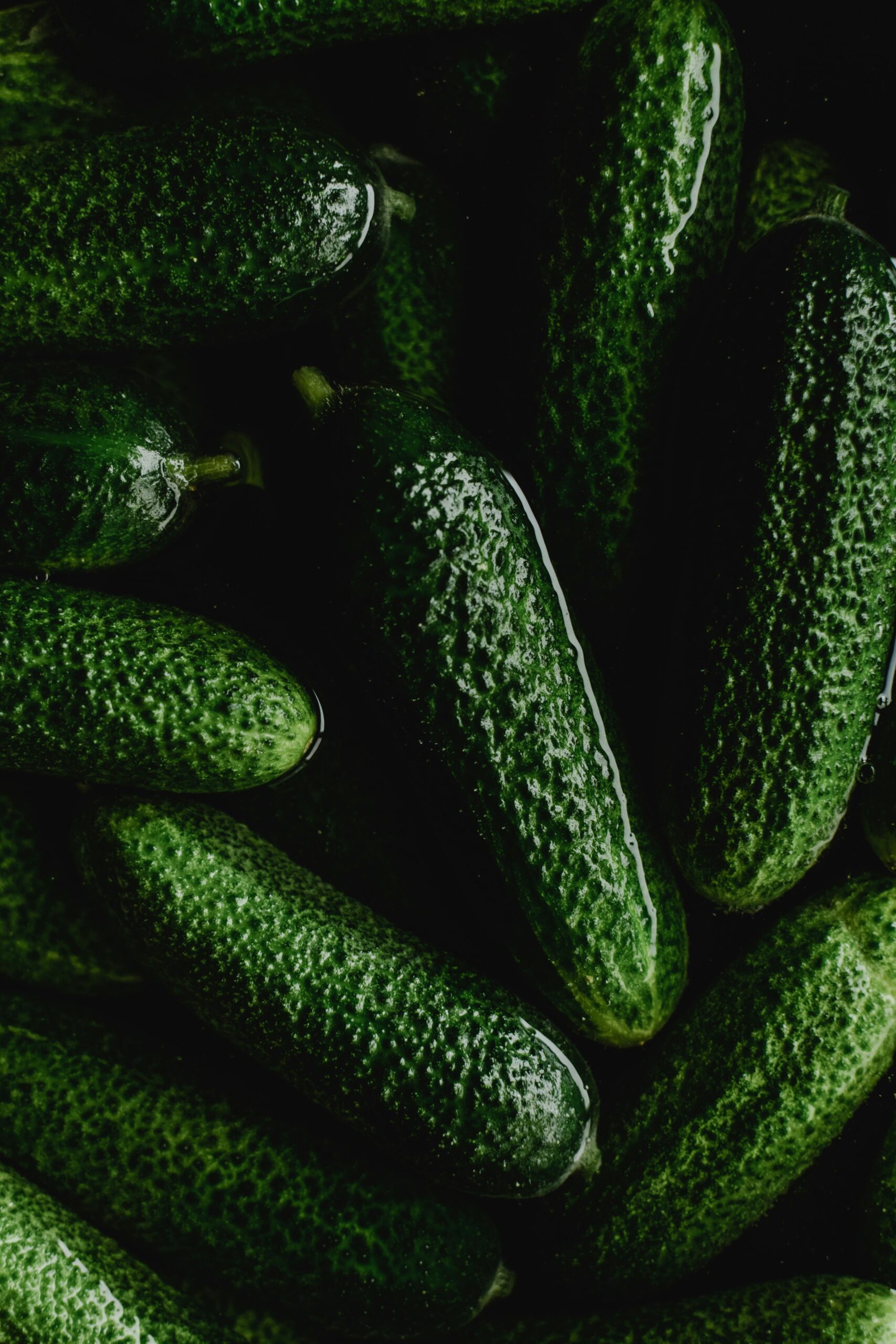 Cucumbers floating in brine that are about to be made into a traditional pickle recipe