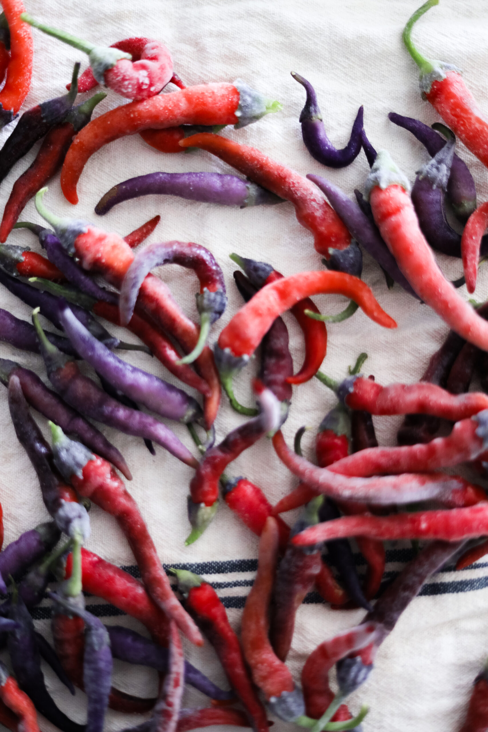 hot peppers to make fermented hot sauce