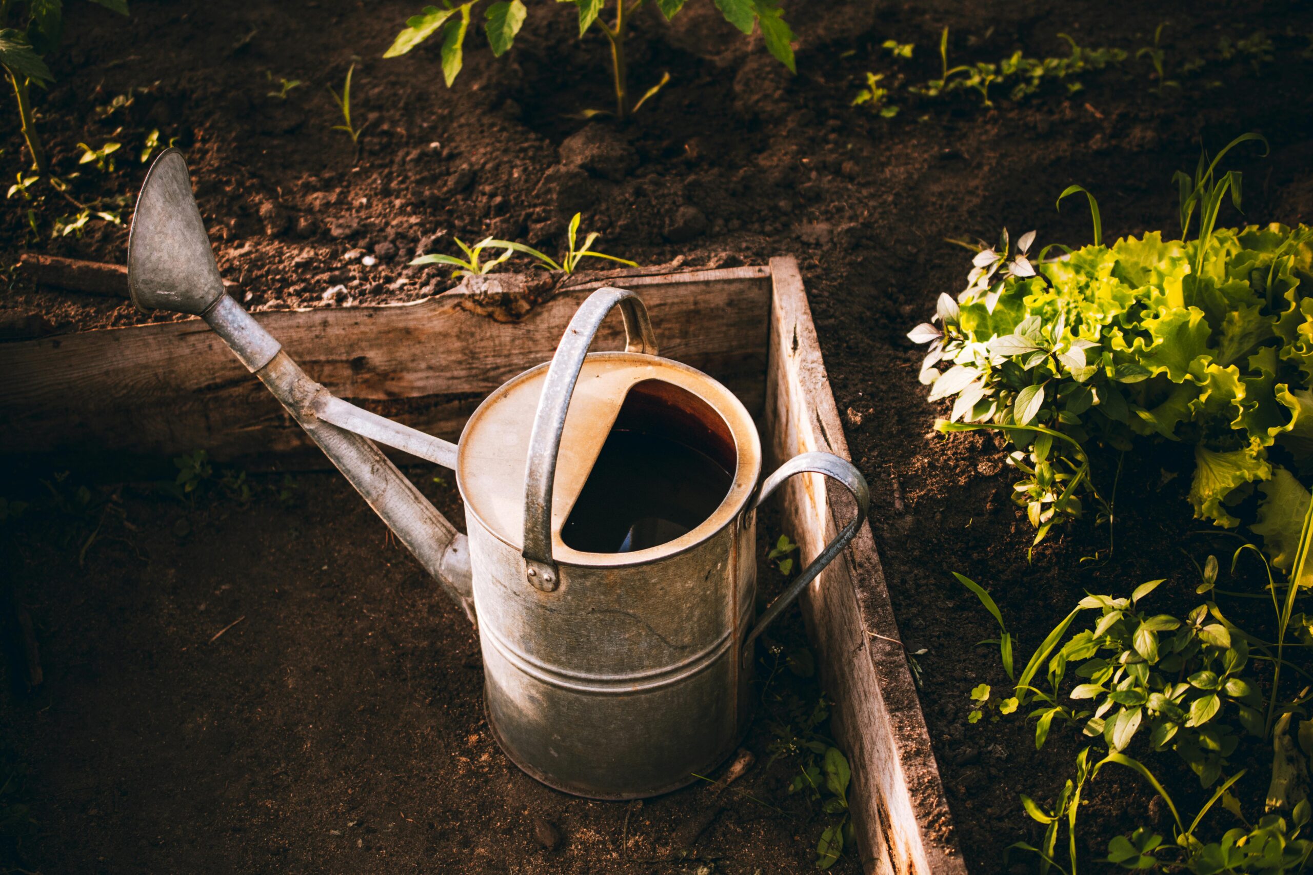 A watering can sitting in a raised bed garden that is about to be filled with raised bed soil mix