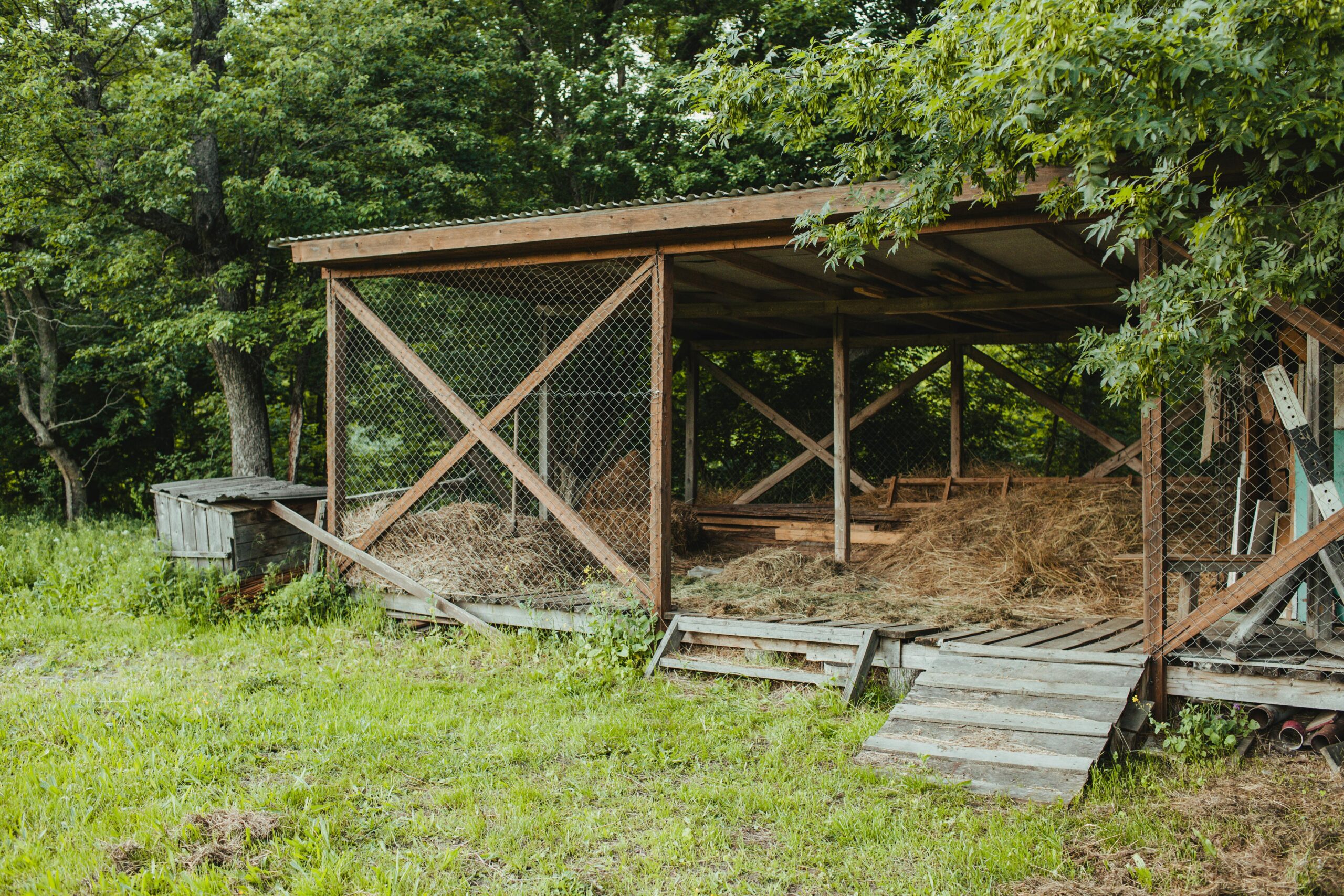 Compact chicken coops for DIY homestead projects