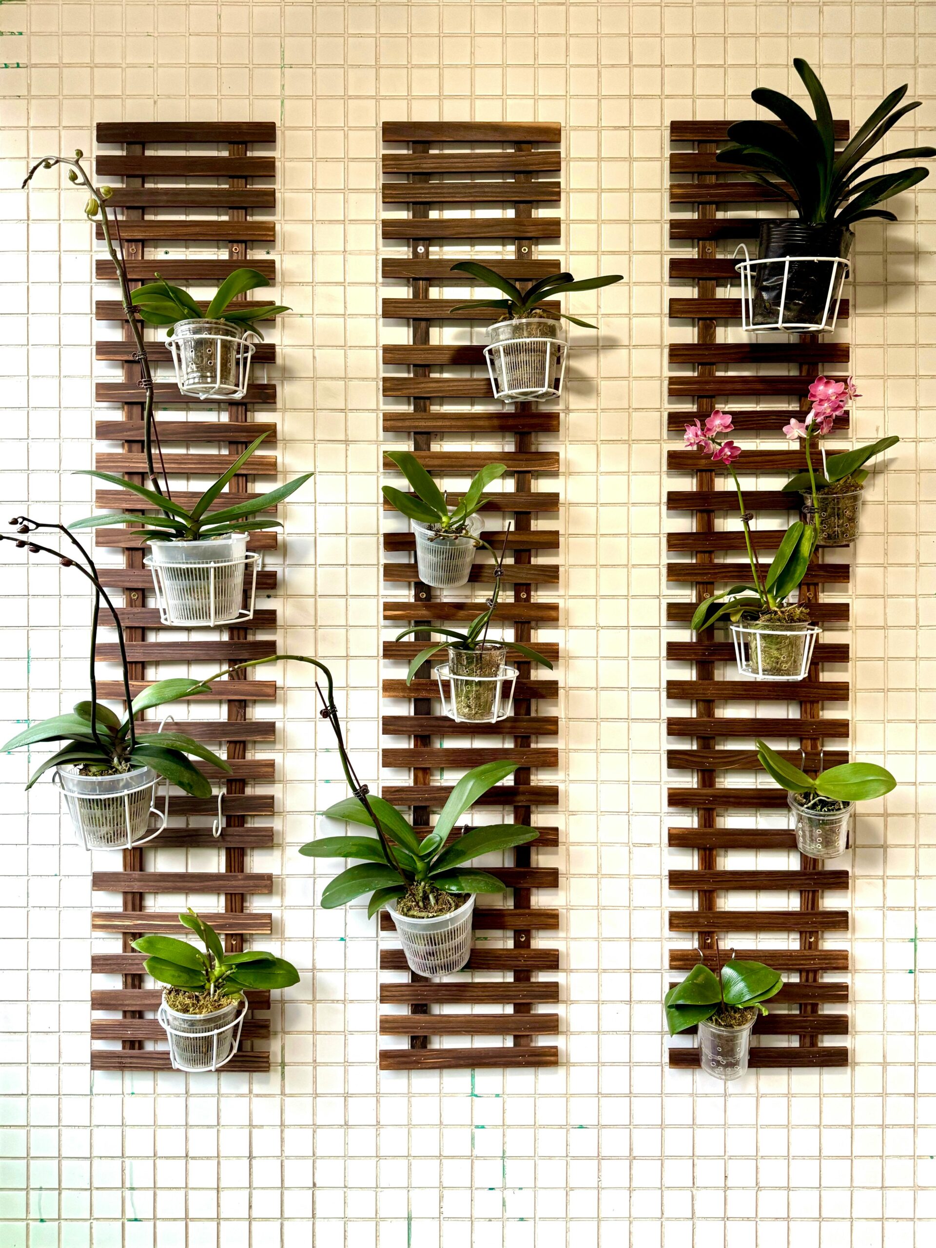 Hanging plants vertically is vertical gardens for small spaces