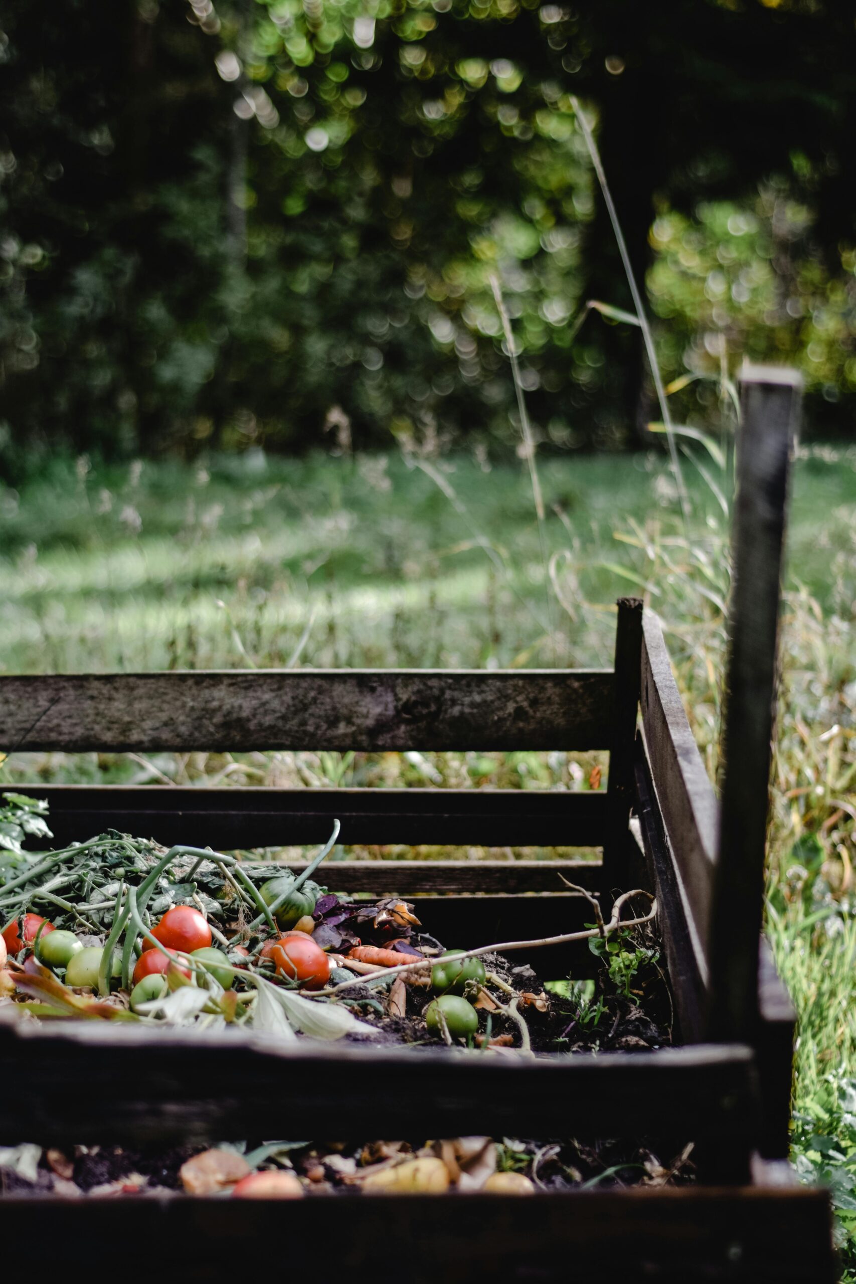 Composting kitchen scraps which are organic gardening tips and showing how to compost at home