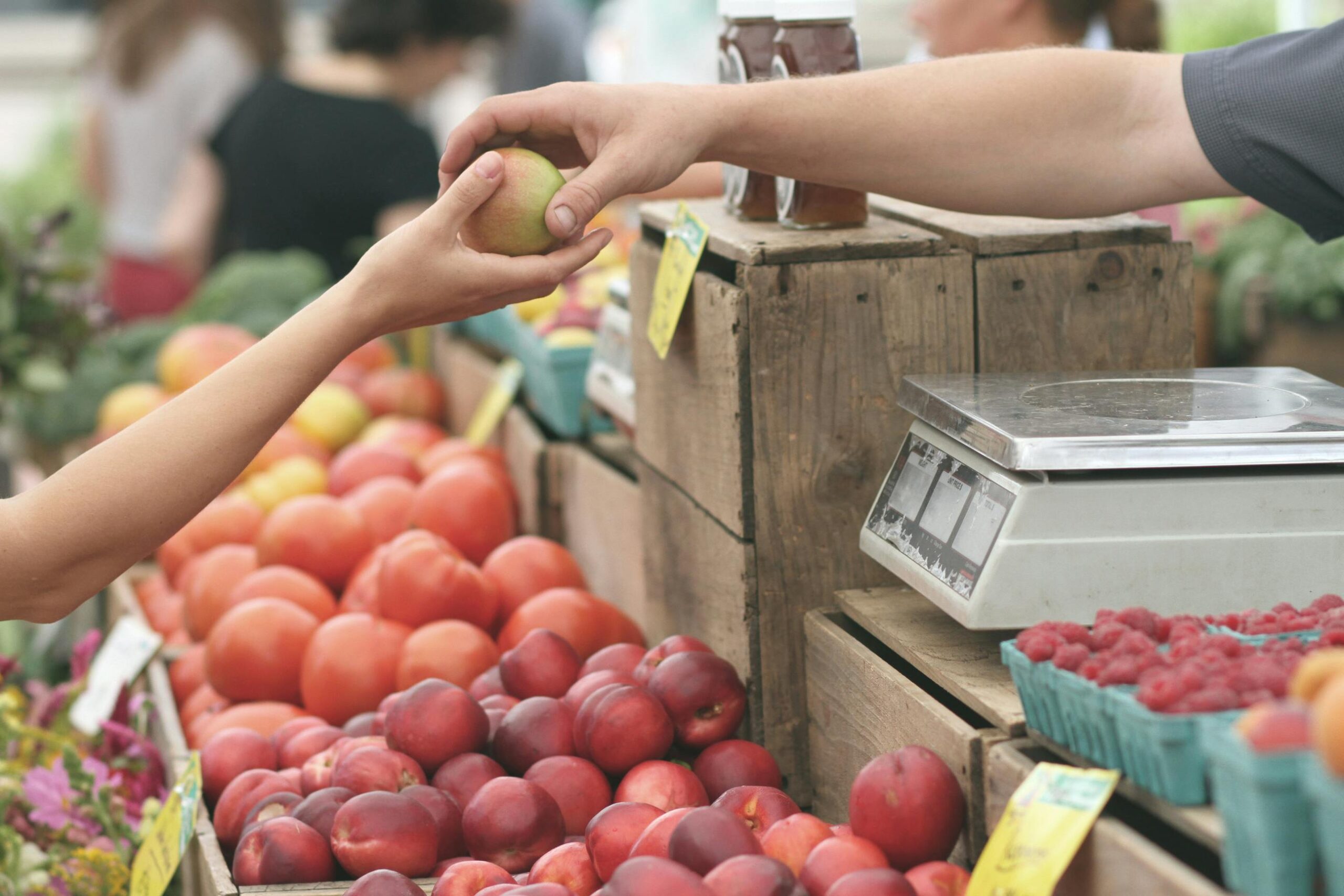 People selling produce at the farmers market are profitable homestead ideas for beginners and backyard homestead business ideas