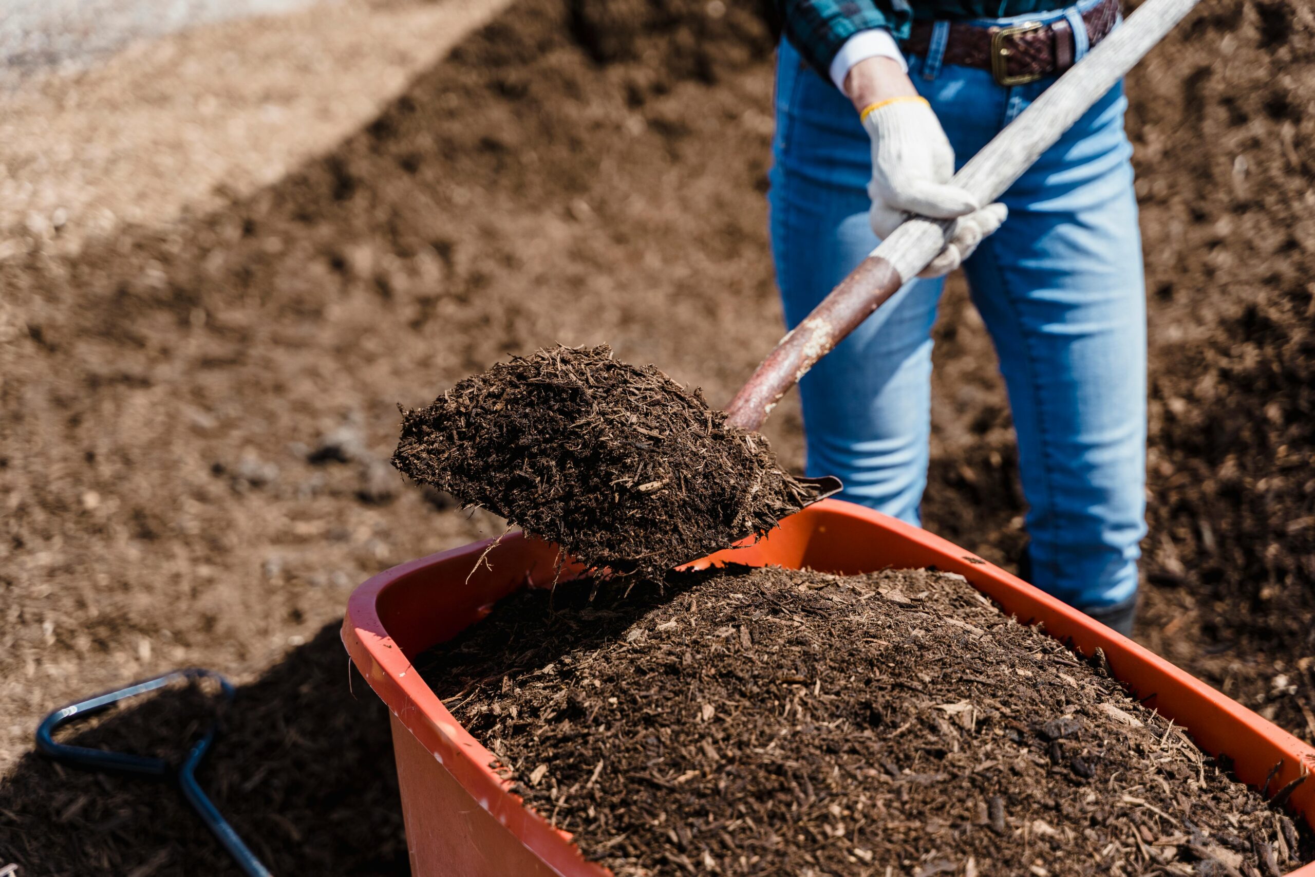 Finished compost in a wheelbarrow which is the breakdown of brown and green compost materials and shows composting in small spaces.