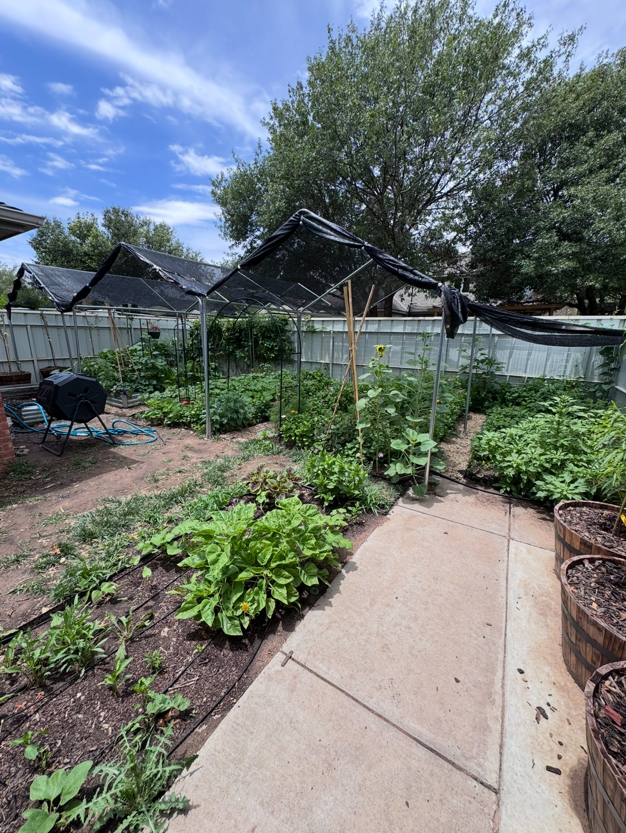 Shade cloth over the garden showing how to protect the garden from hail and protect plants from hail damage