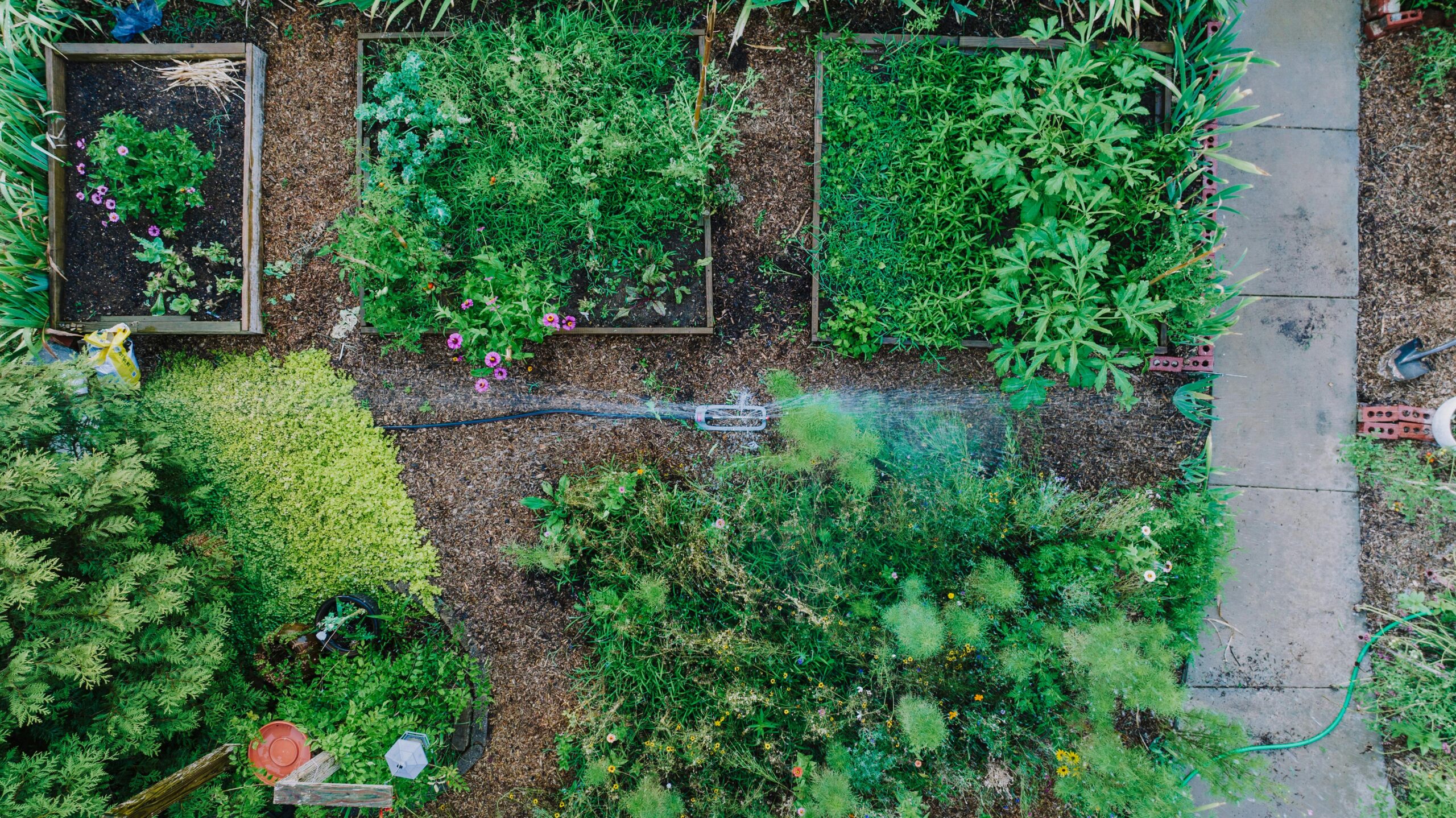 Raised bed gardening showing how to fill garden beds