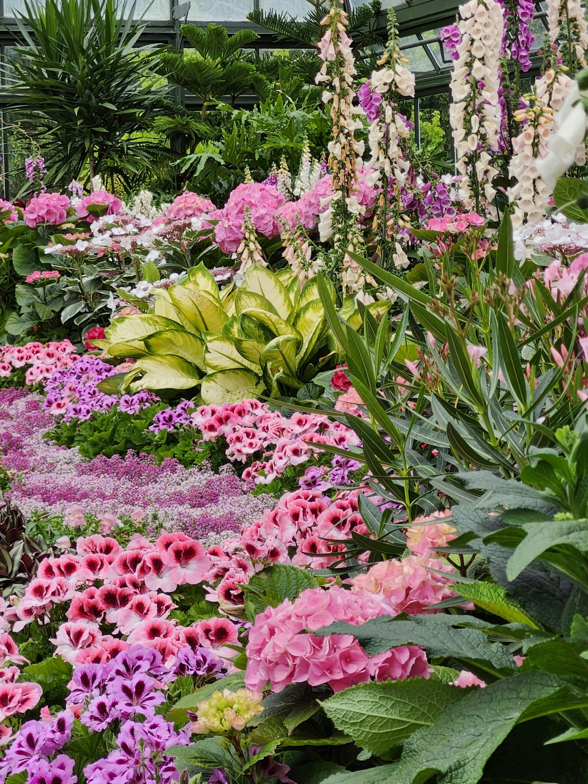 A colorful flower bed for cottage garden design ideas and mall backyard garden inspiration