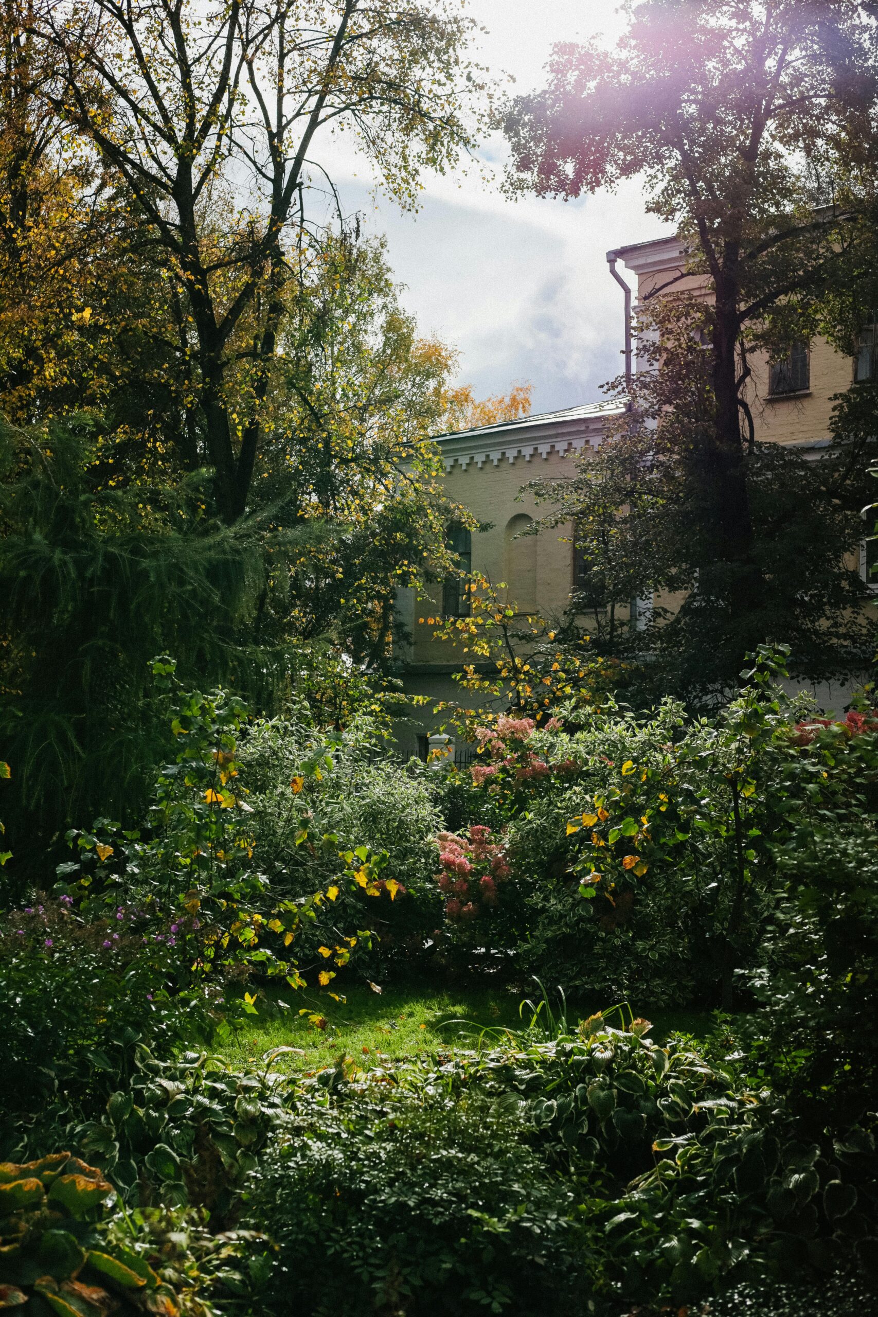 A cottage garden layout and cottage garden plants