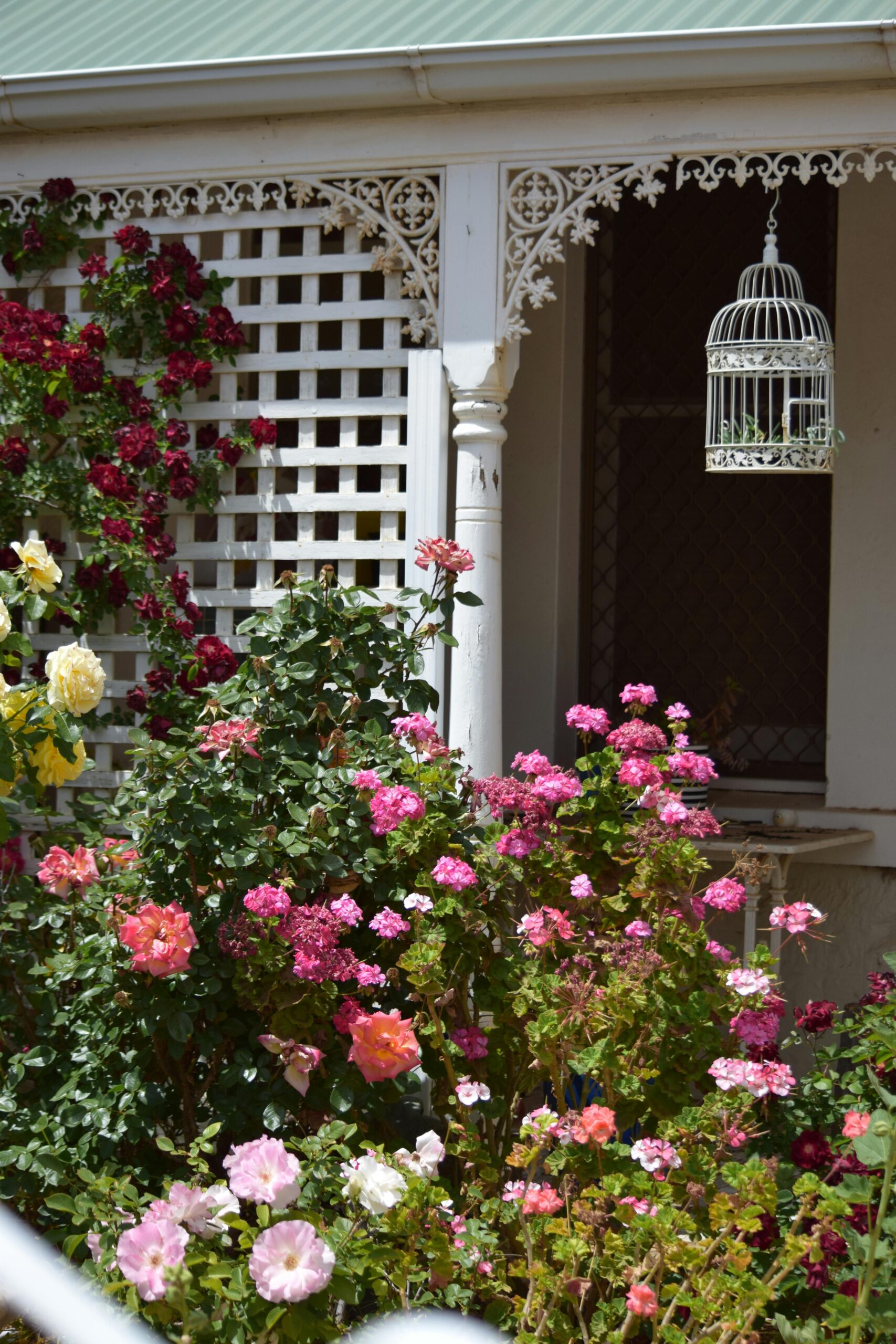 A layered cottage garden showing small space gardening ideas and cottage style garden layout
