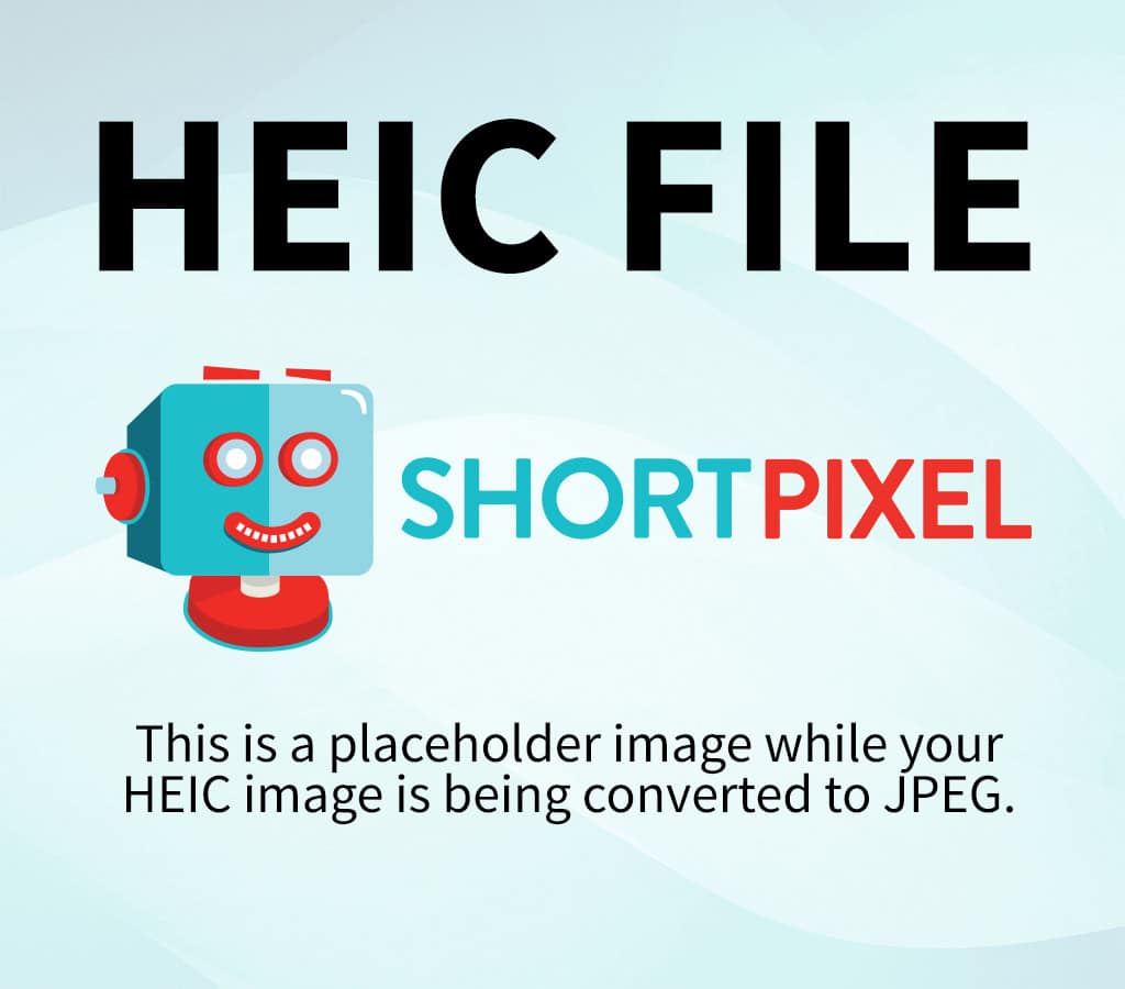 A DIY drip irrigation setup showing drip irrigation for raised beds