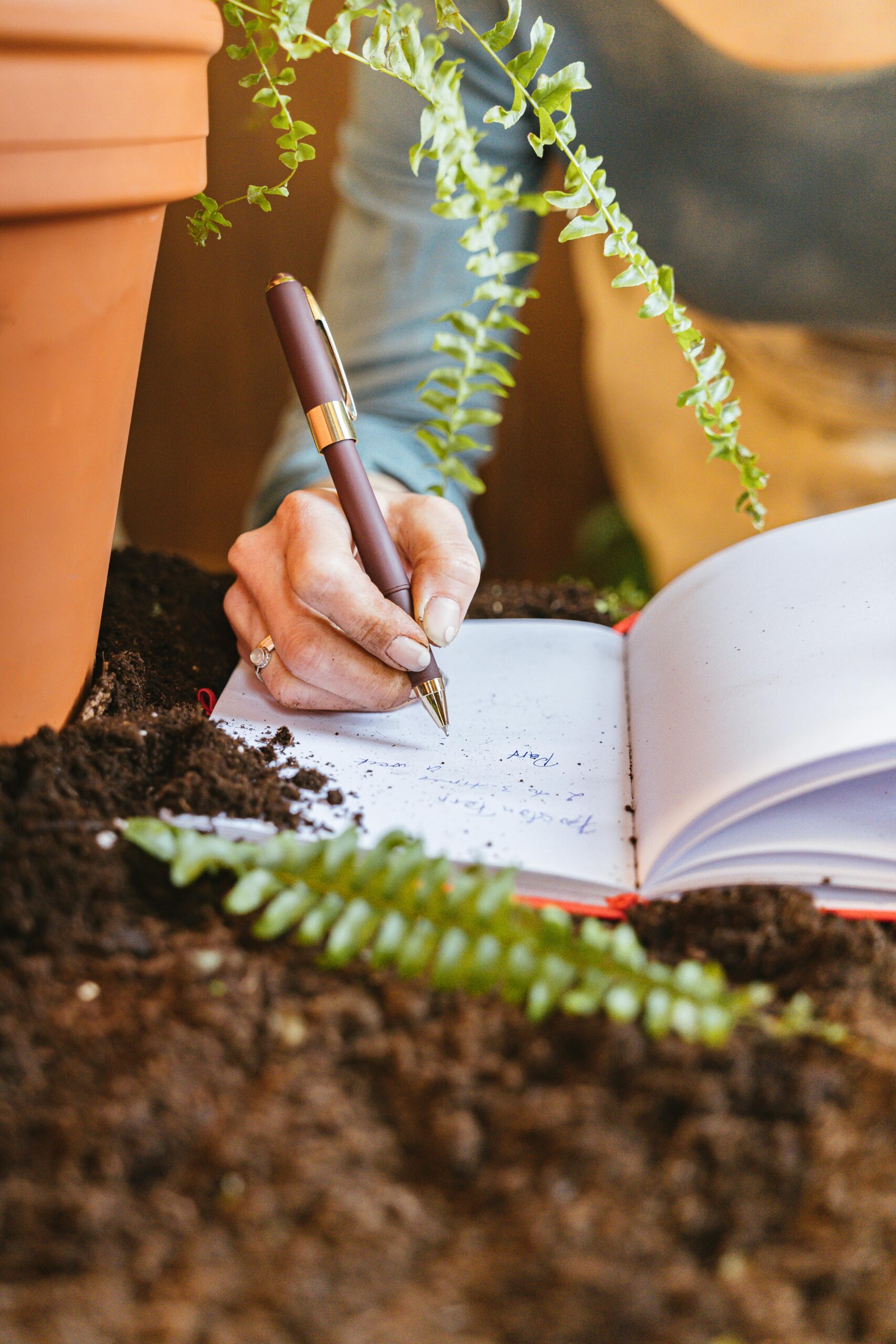 A monthly gardening calendar for beginners showing what to pla t each month