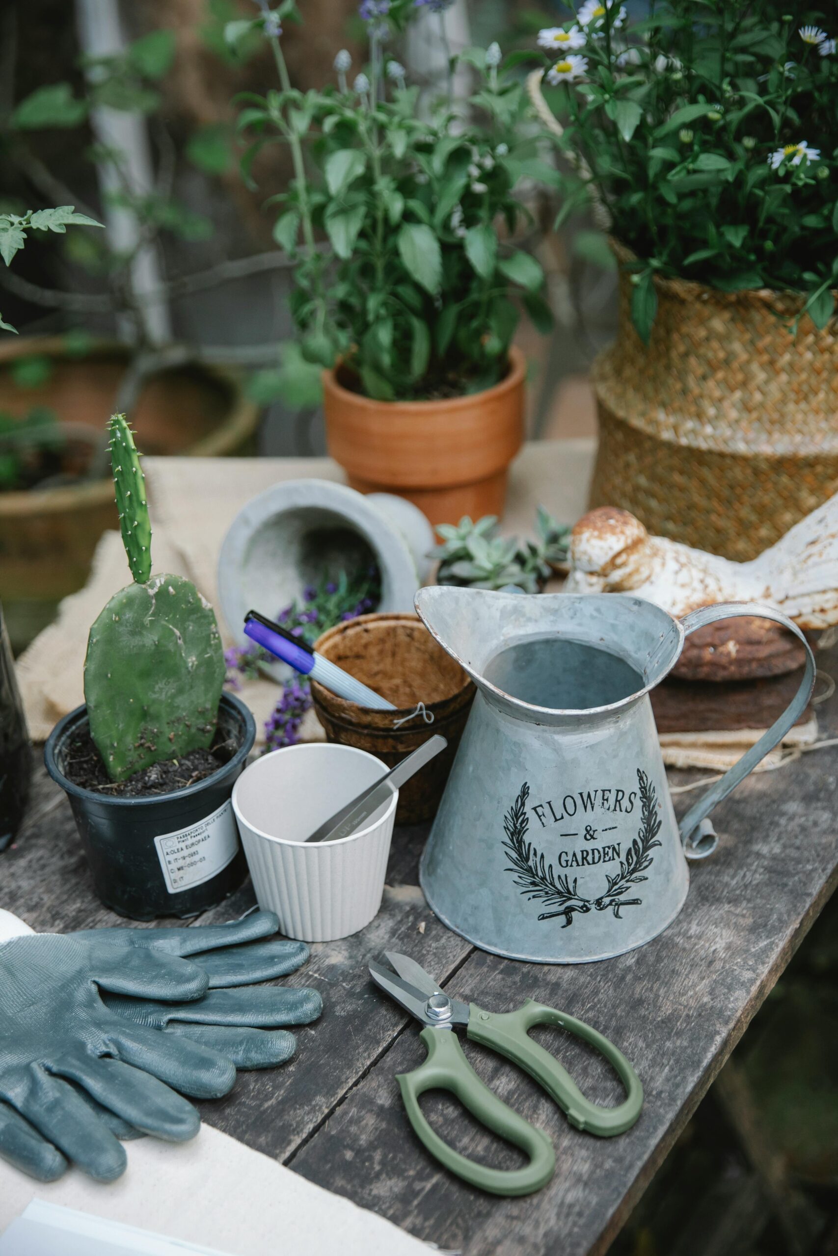 A potting bench for a post about a beginner garden schedule and vegetable planting calendar