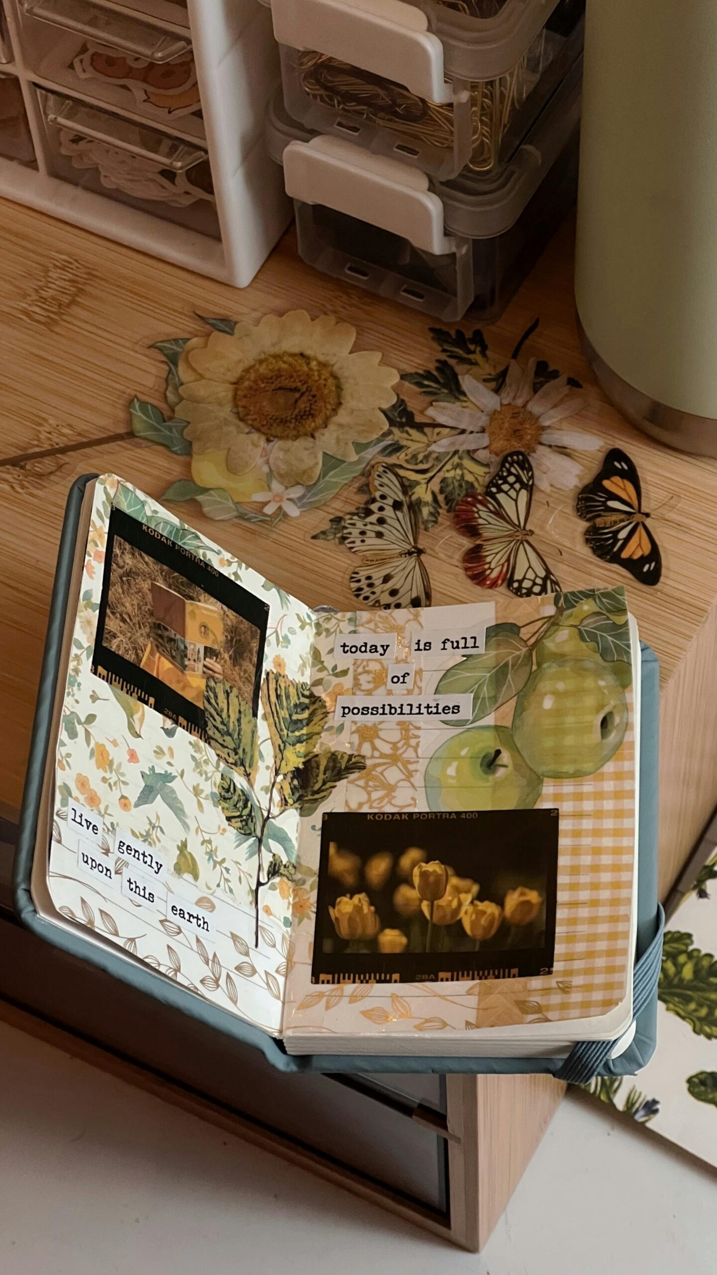 A gardening by month guide with seasonal gardening tips