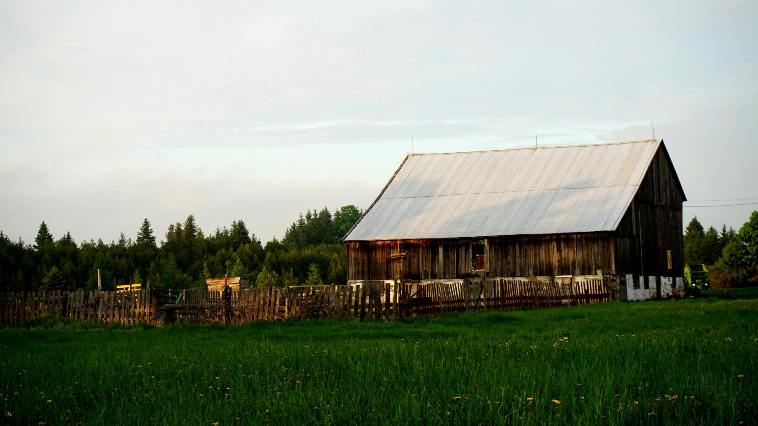 A homestead to learn beginner homesteading skills and how to start homesteading