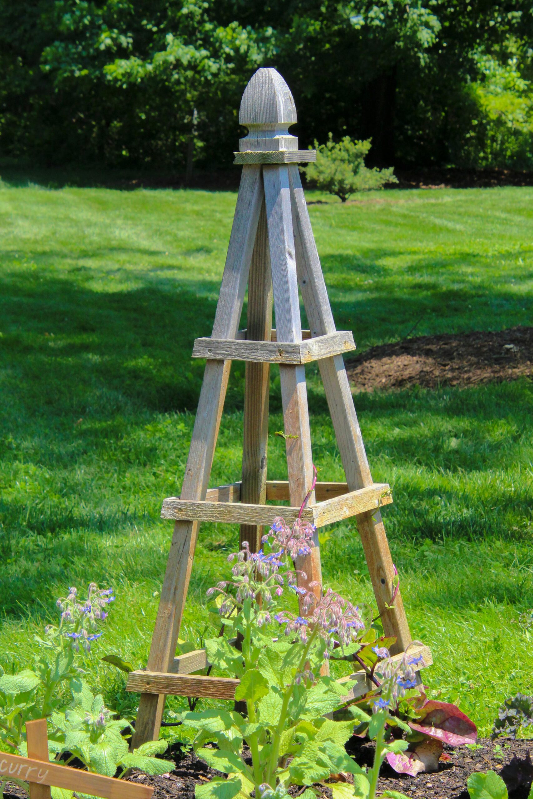 An obelisk trellis in a guide on how to start a vertical garden step by step and the best vegetables for vertical gardening