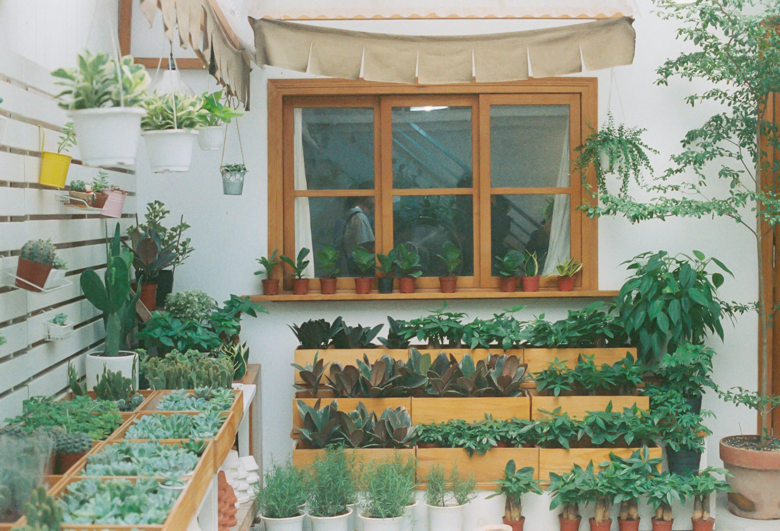 vertical planters in a garden are great small garden ideas in a high yield small garden