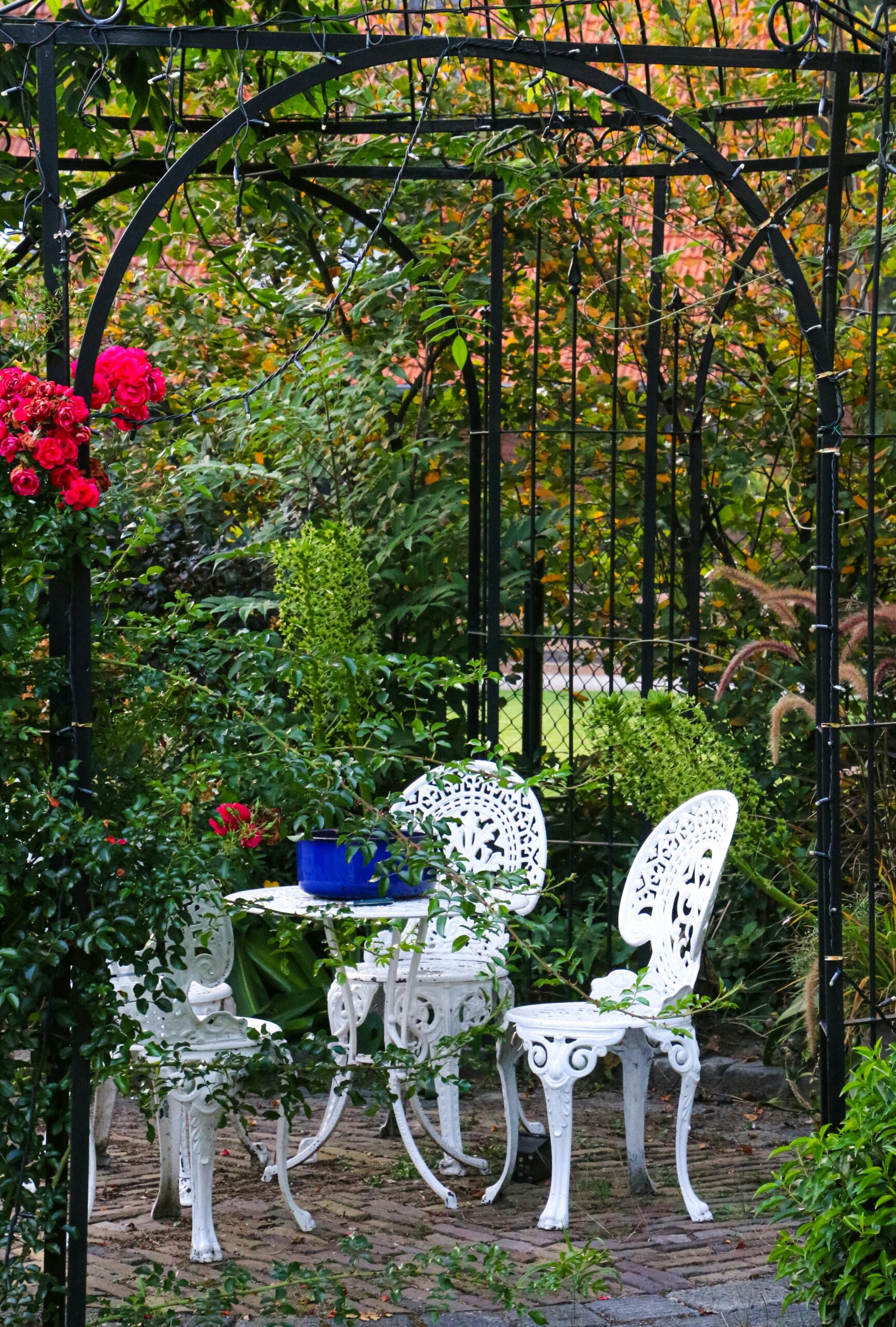 A bird cage trellis showing vertical garden ideas and small space gardening ideas