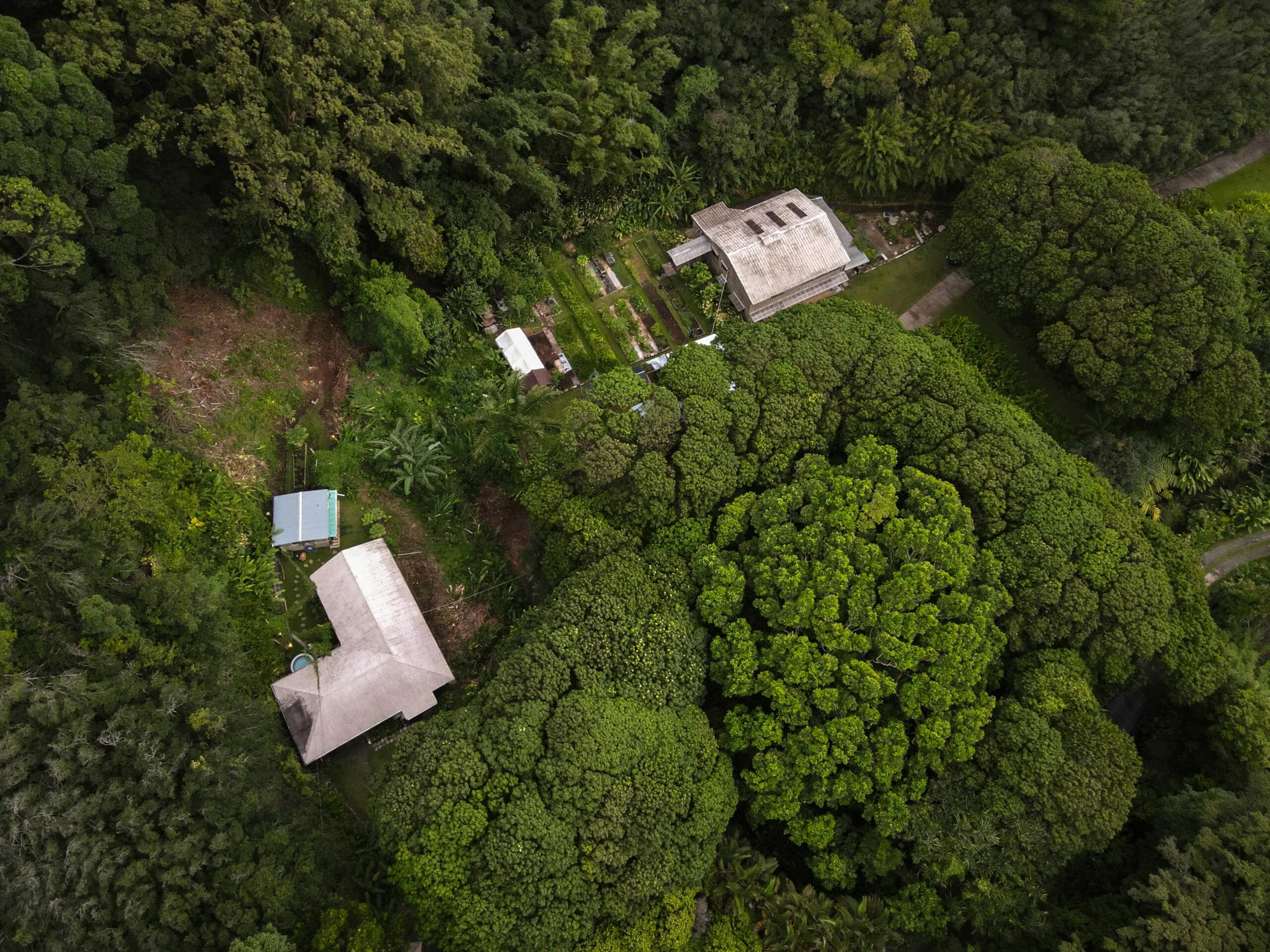 A backyard homestead layout from above showing how to design a small homestead.