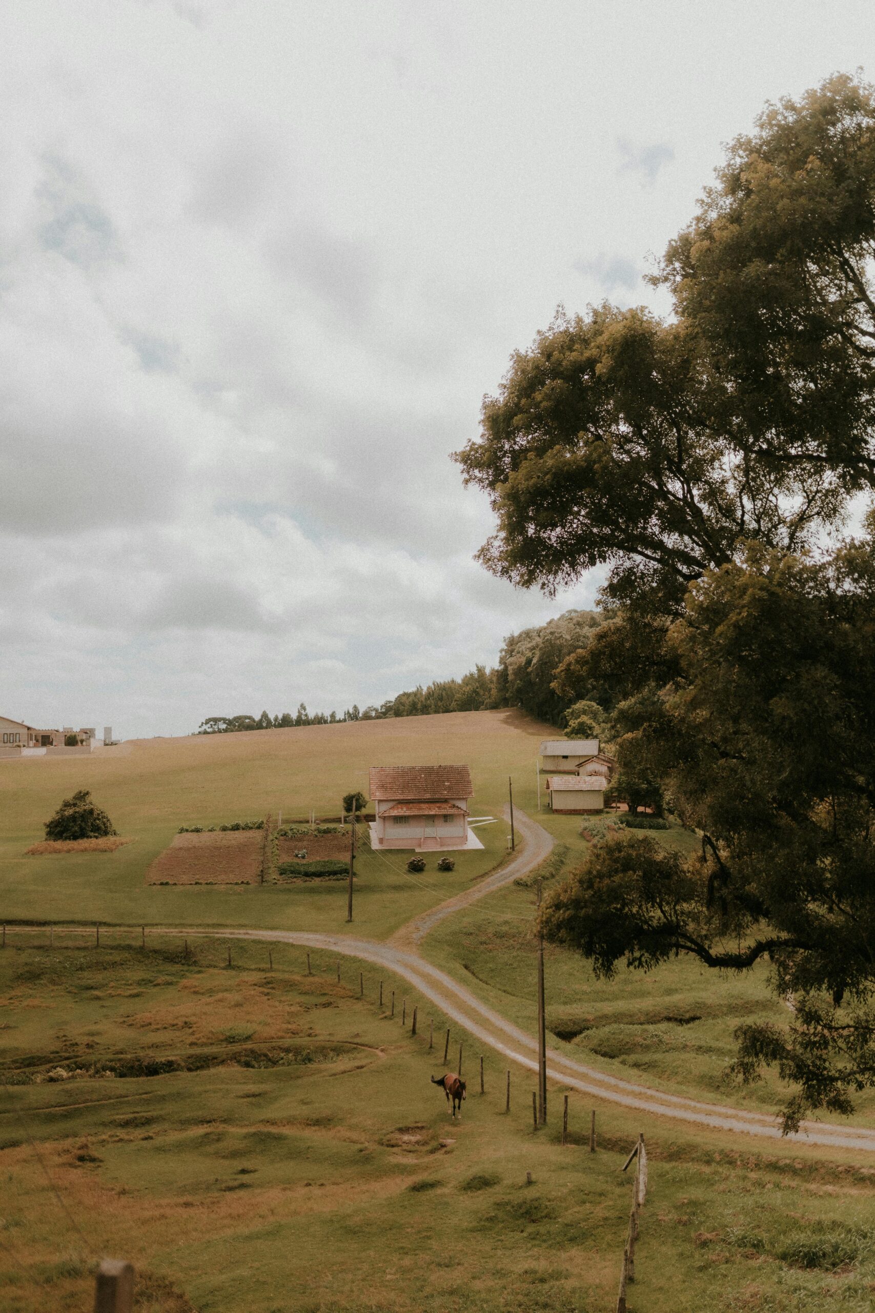 A small homestead layout ideas with homestead layout plans