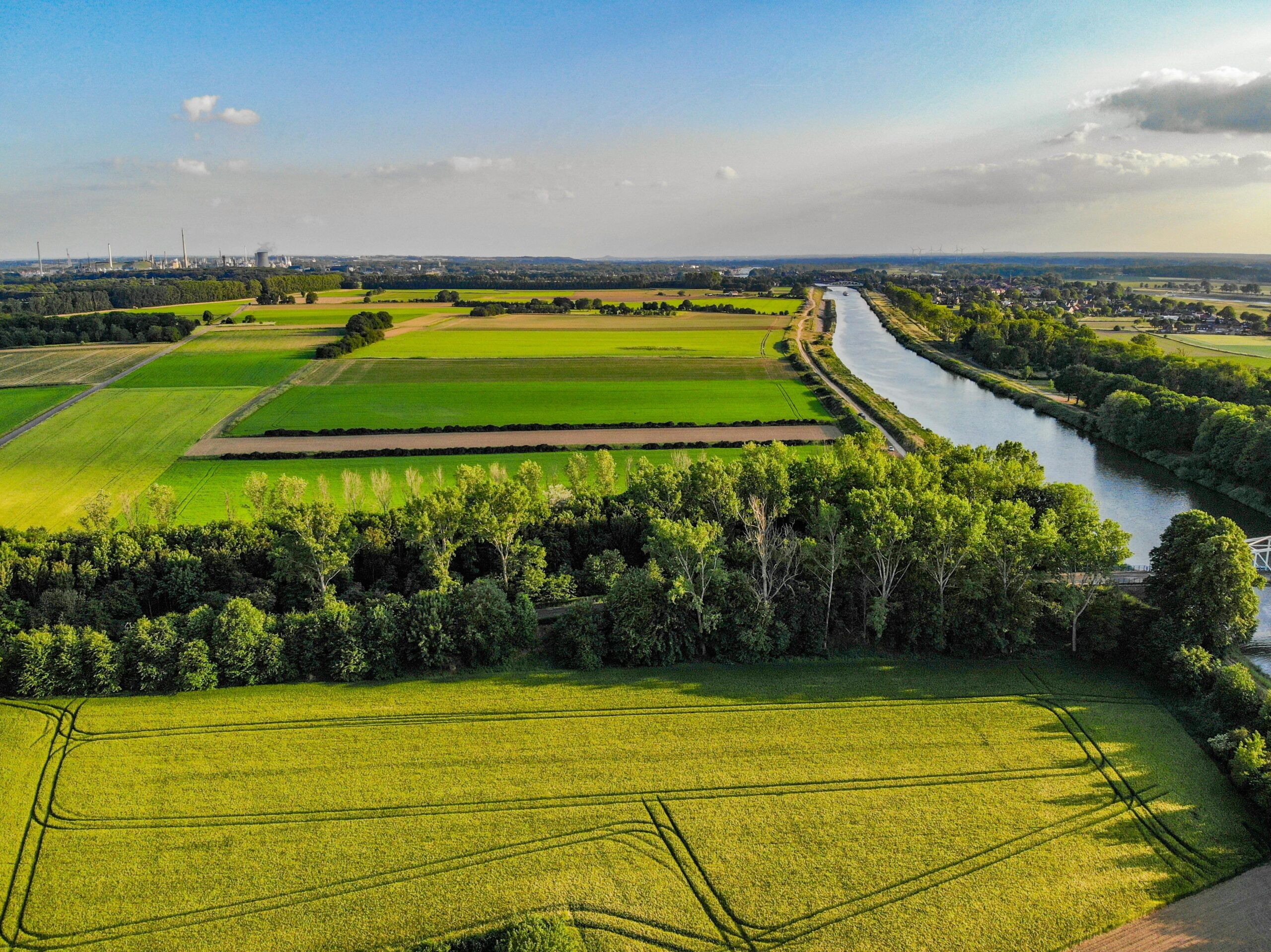 Land showing homestead property tips and buying rural land for homesteading