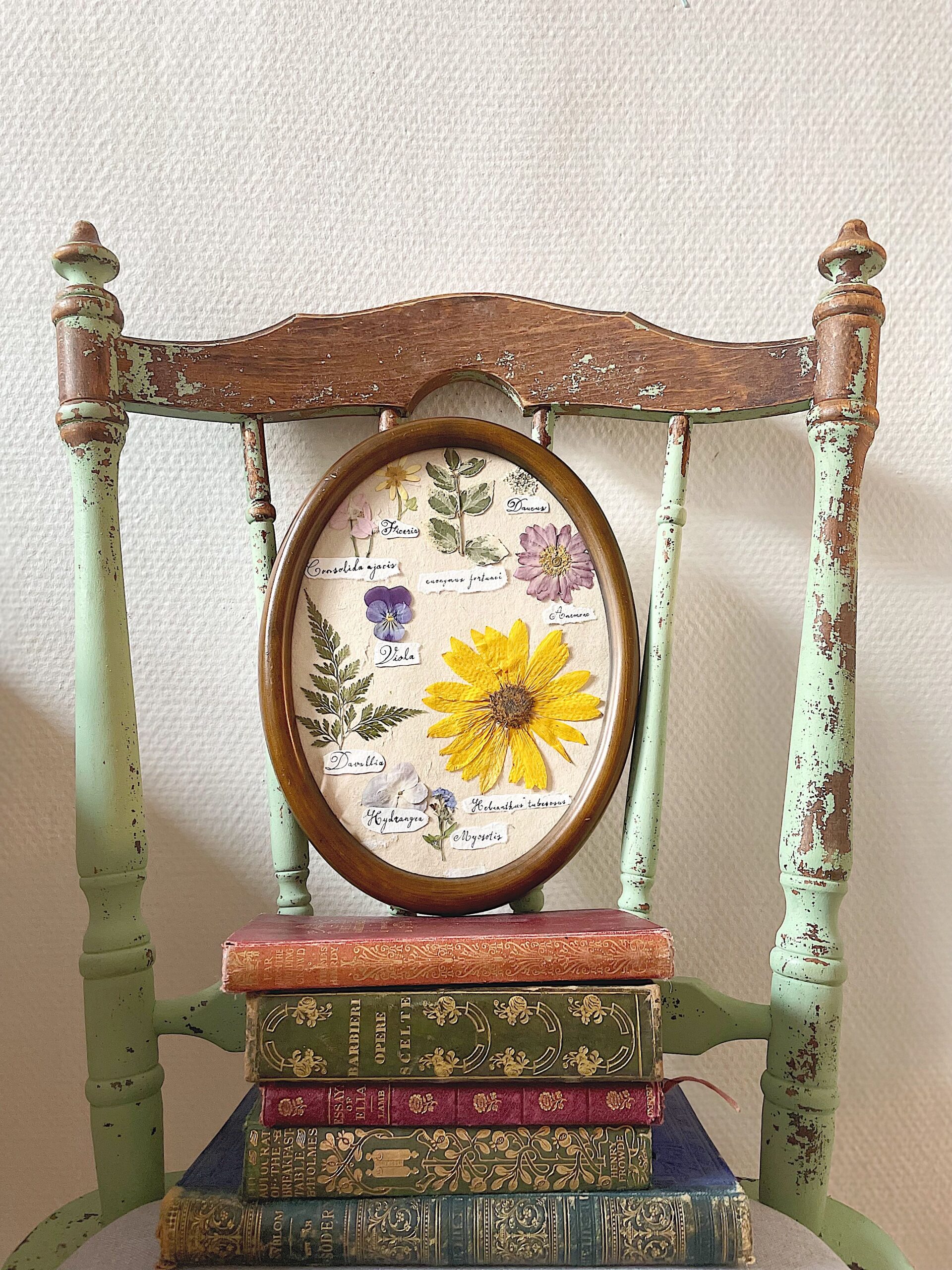 Framed art showing how to press flowers and DIY botanical wall art