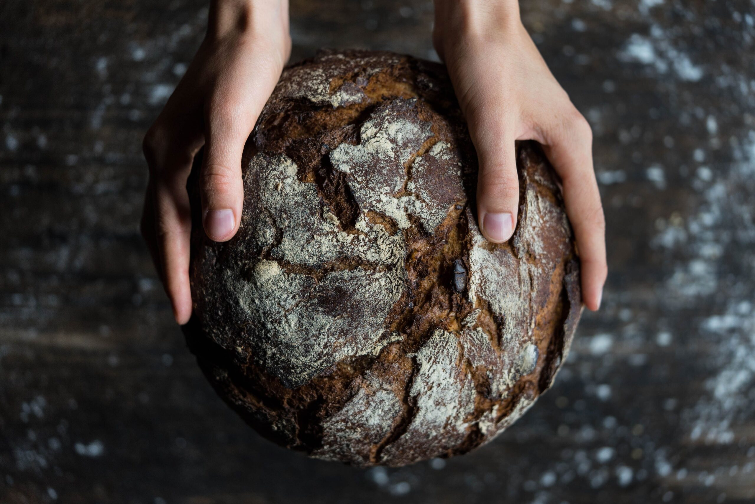 Artisan chocolate bread, showing how to make chocolate sourdough bread