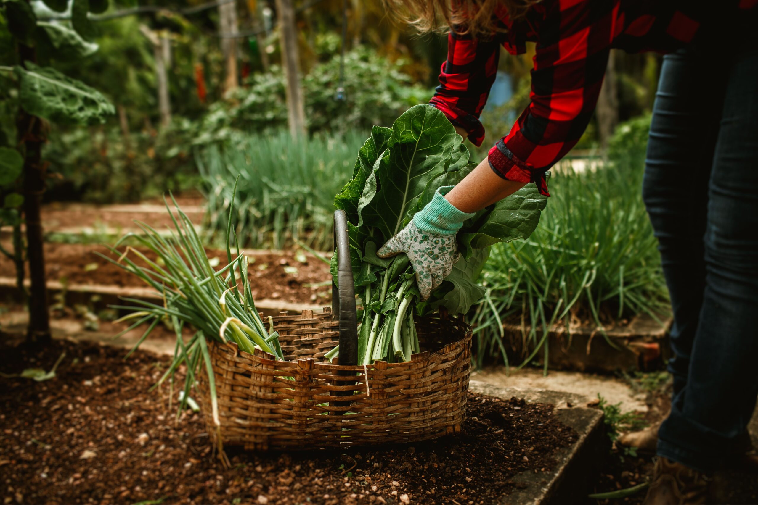 A gardener overwhelmed by gardening and learning how to avoid gardening burnout