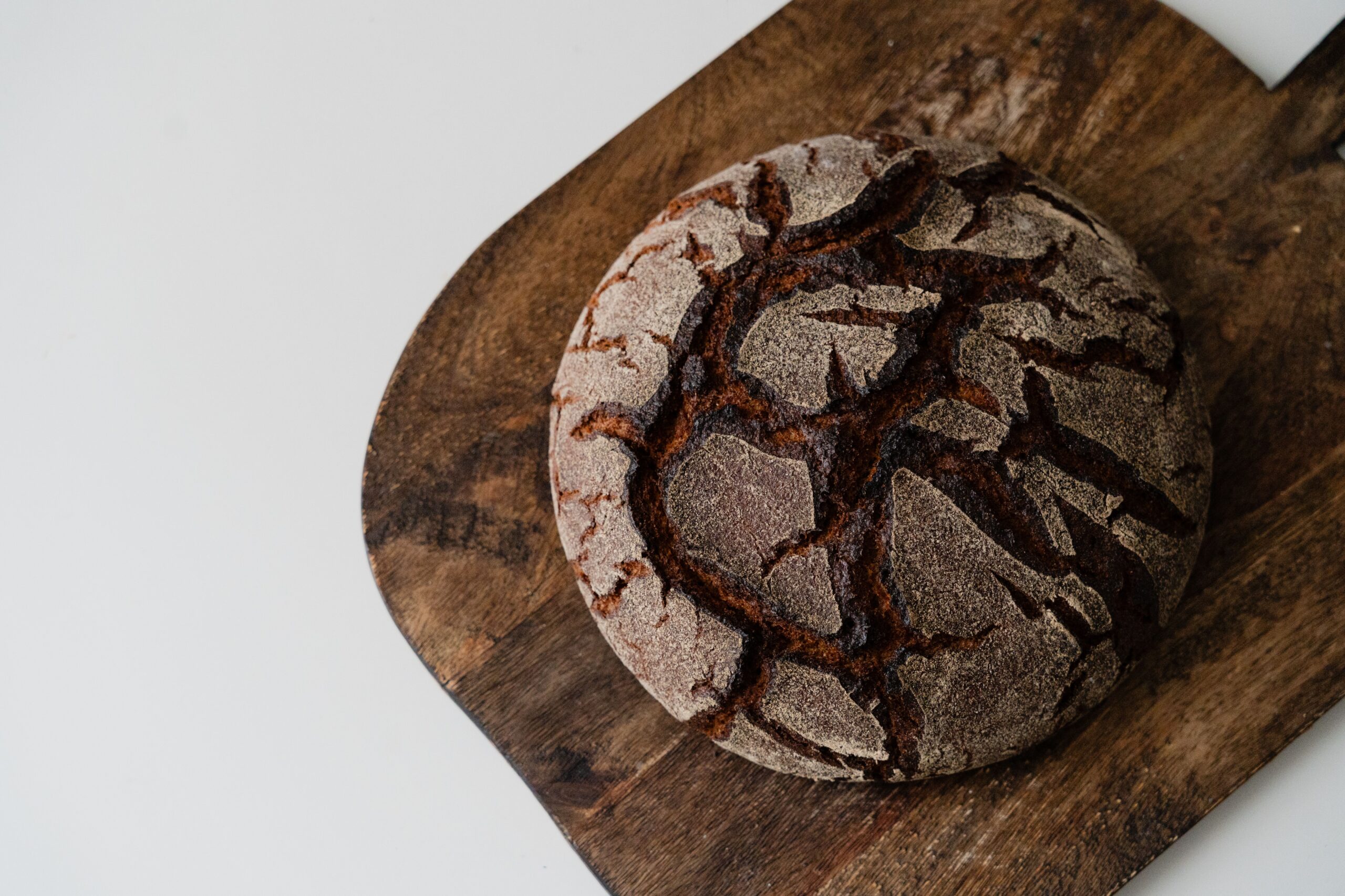Cholate sourdough bread, an artisan sourdough chocolate loaf